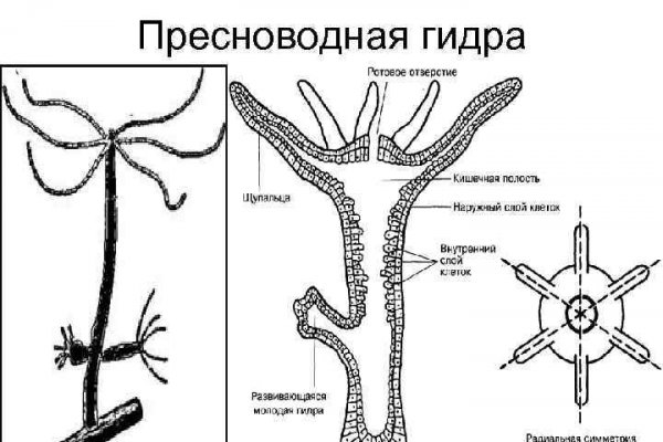 Зеркало кракен kr2web in