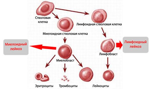 Кракен это современный даркнет маркетплейс